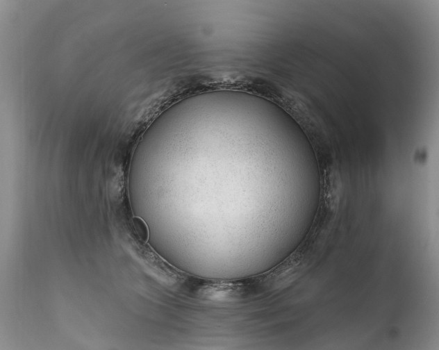 X0000111380563200907241312