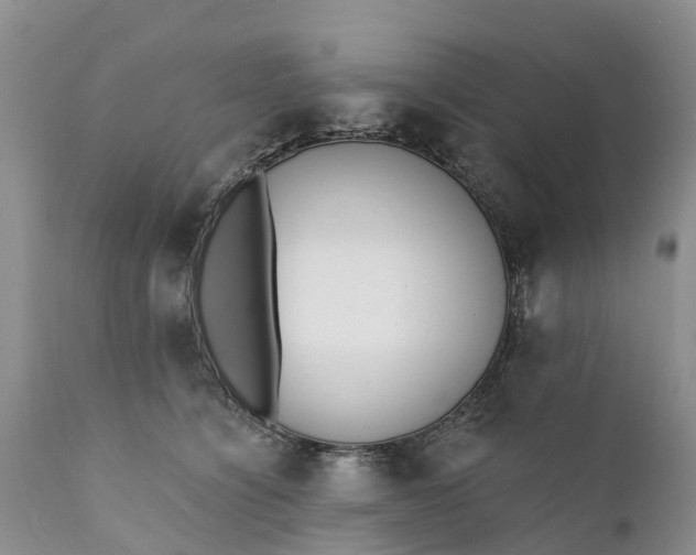 X0000111380564200907241312