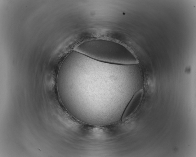 X0000111380566200907241312