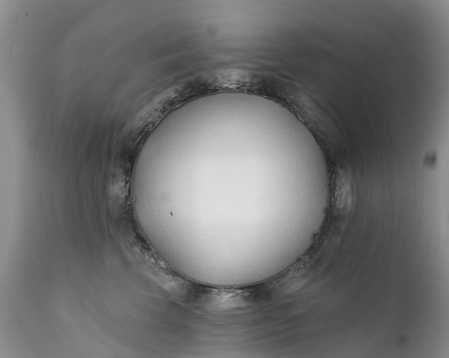 X0000111380569200907241312