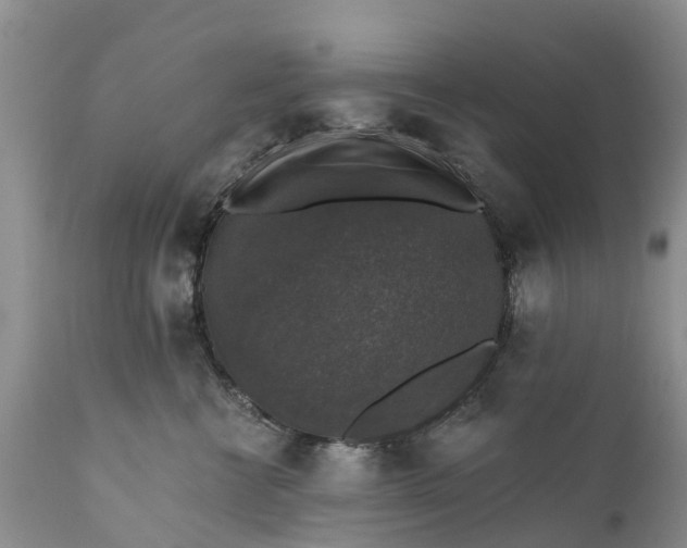 X0000111380570200907241312