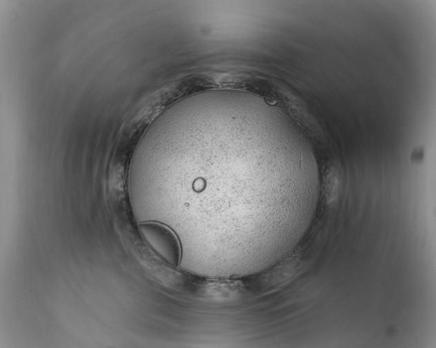 X0000111380571200907241312