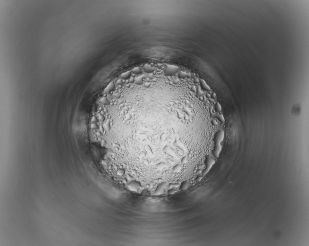 X0000111380573200907241312