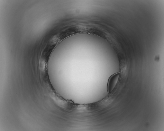 X0000111380574200907241312