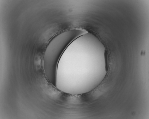 X0000111380576200907241312