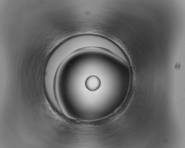 X0000111380577200907241312