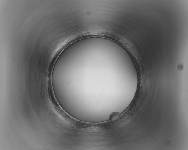 X0000111380578200907241312