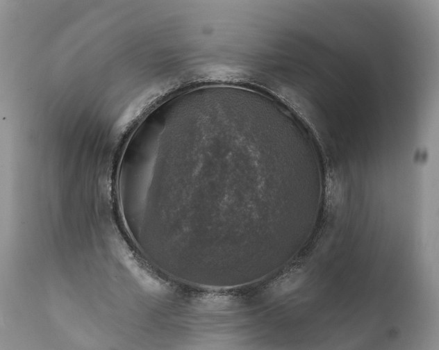 X0000111380581200907241312