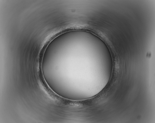 X0000111380582200907241312