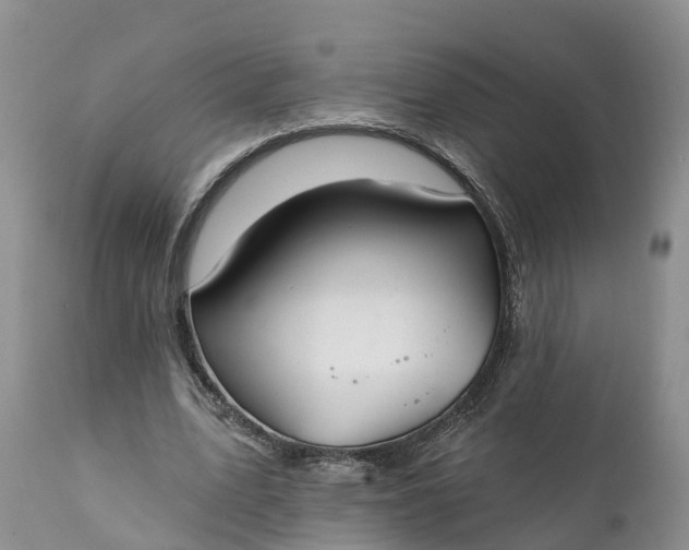 X0000111380583200907241312