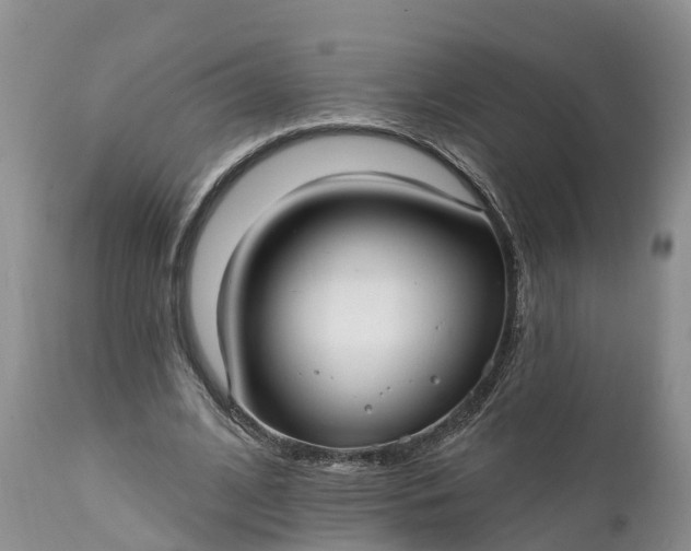 X0000111380584200907241312