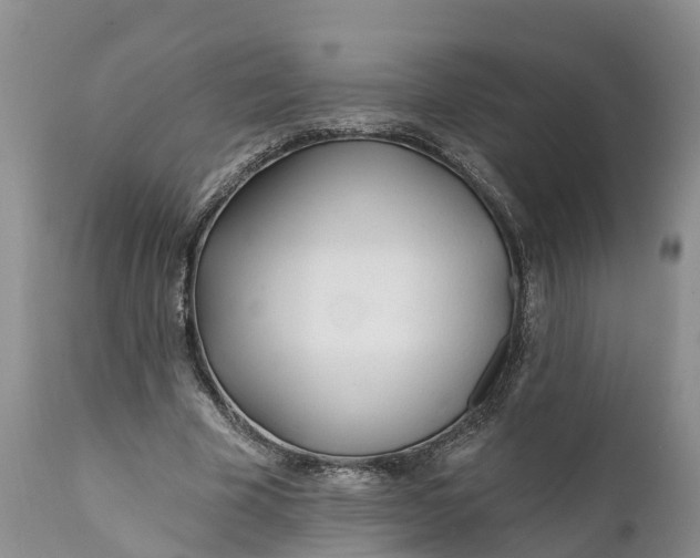 X0000111380585200907241312