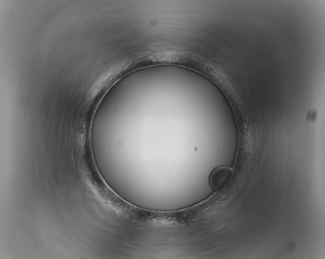 X0000111380586200907241312