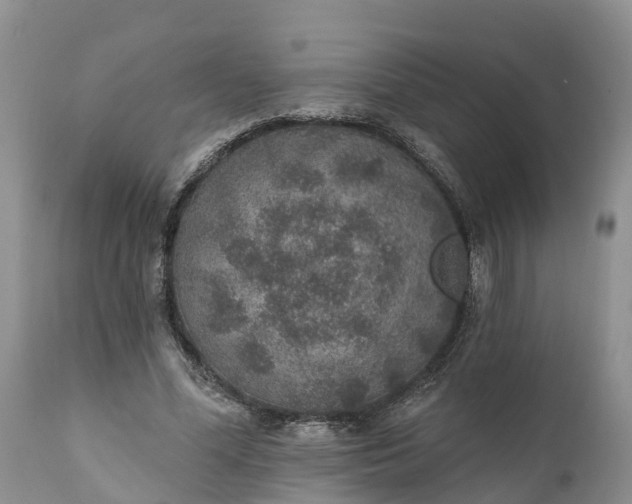 X0000111380588200907241312