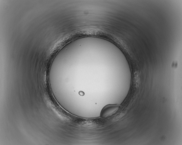 X0000111380589200907241312