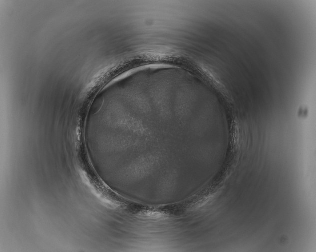 X0000111380590200907241312