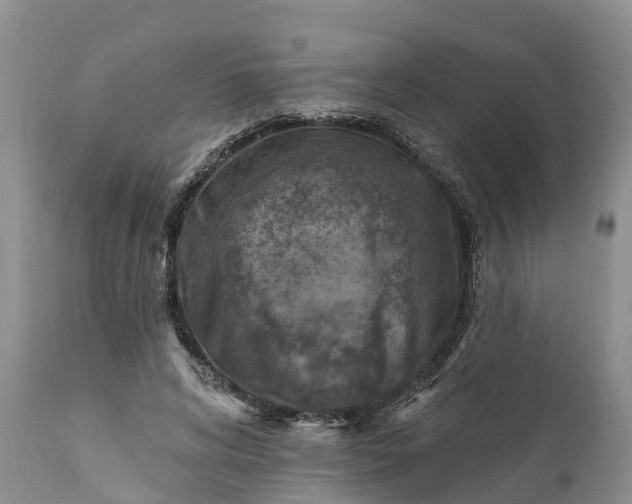 X0000111380592200907241312