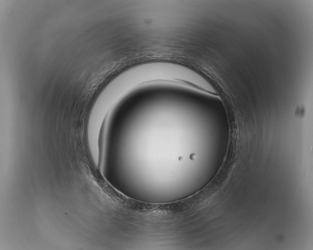 X0000111380593200907241312