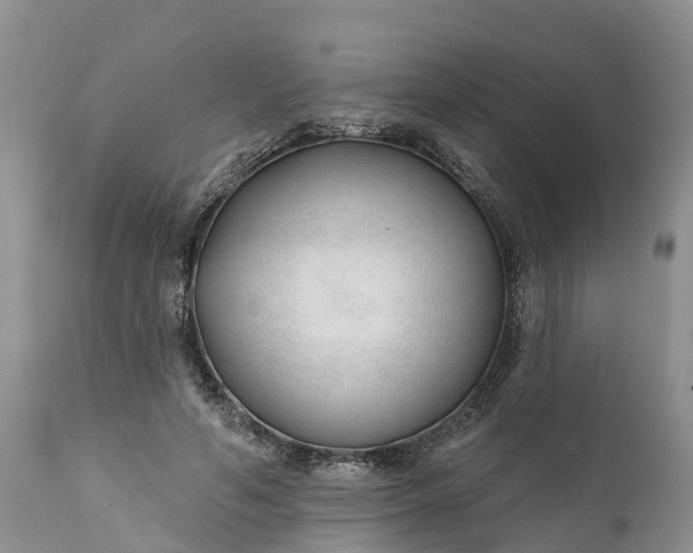 X0000111380594200907241312