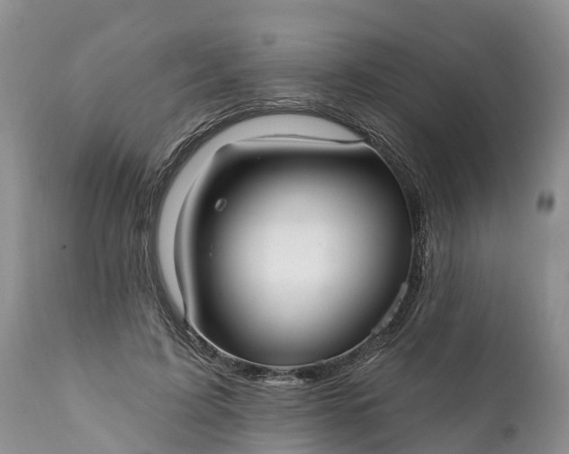 X0000111380595200907241312