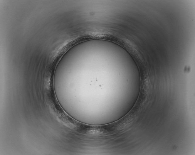 X0000111380596200907241312