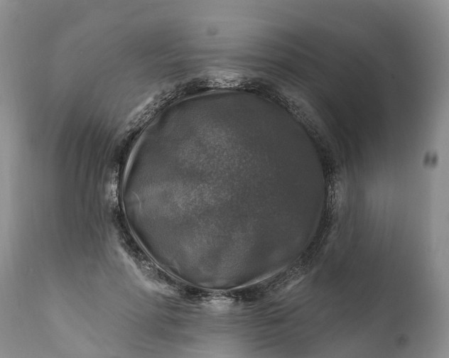 X0000111380598200907241311