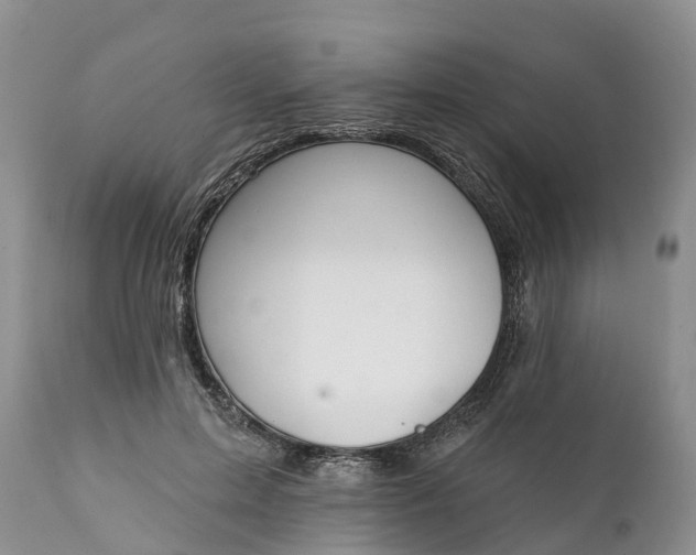 X0000111380599200907241311