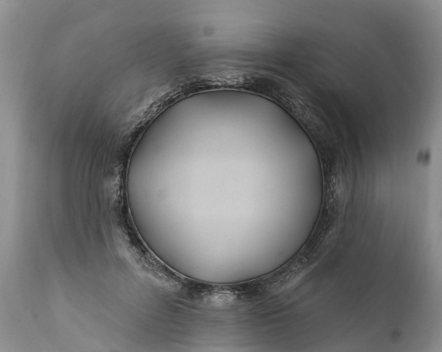 X0000111380600200907241311