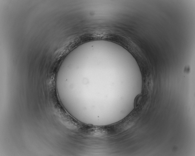 X0000111380601200907241311