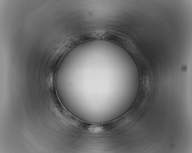 X0000111380602200907241311