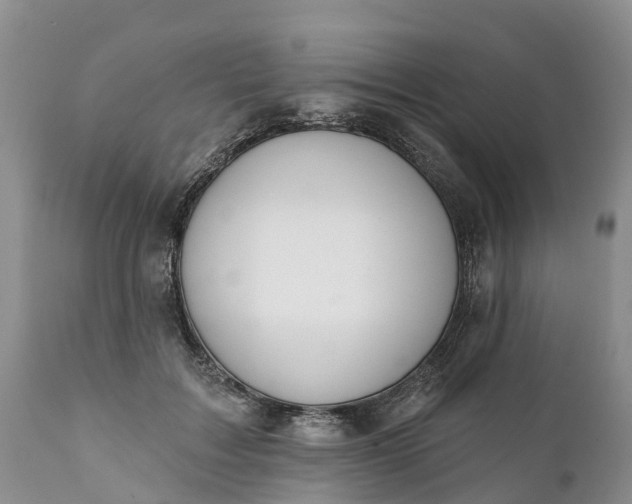 X0000111380603200907241311