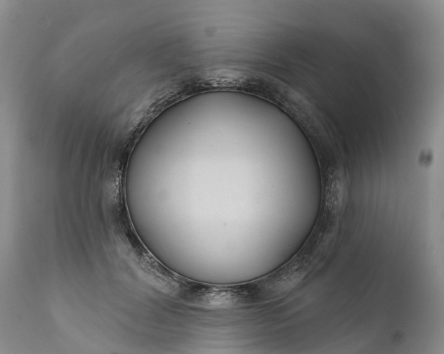 X0000111380604200907241311