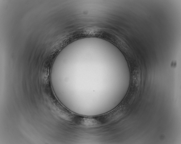 X0000111380605200907241311