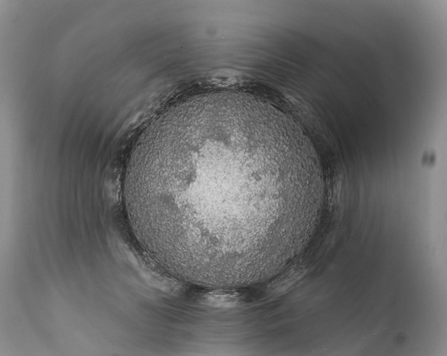 X0000111380606200907241311