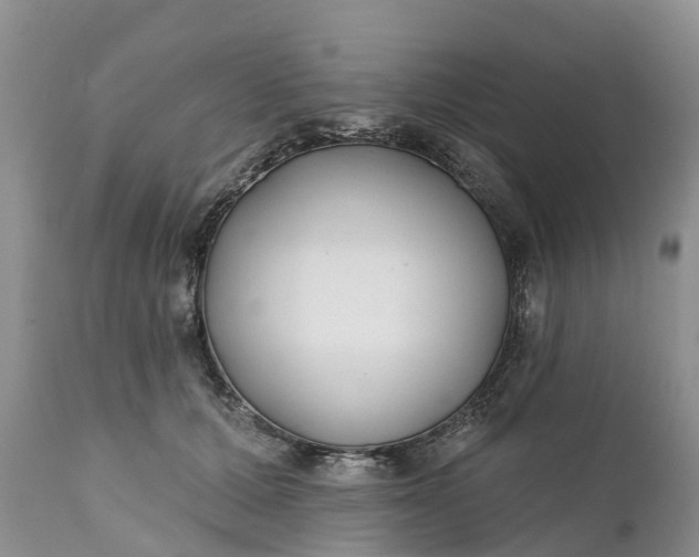 X0000111380607200907241311