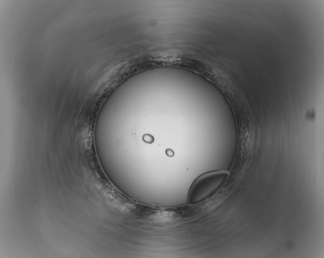 X0000111380609200907241311