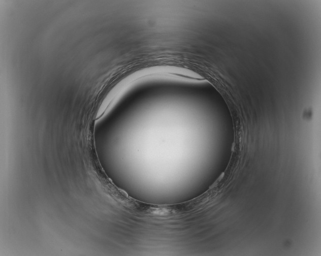 X0000111380611200907241311