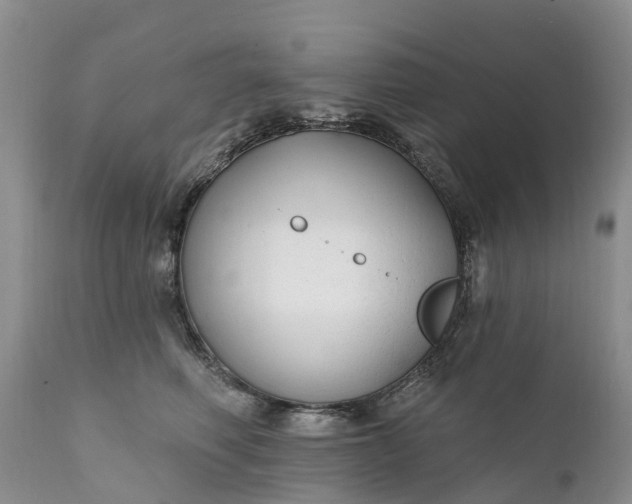 X0000111380614200907241311