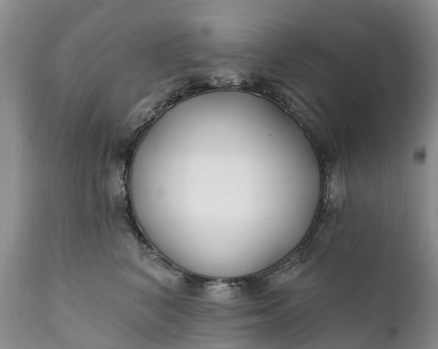 X0000111380616200907241311