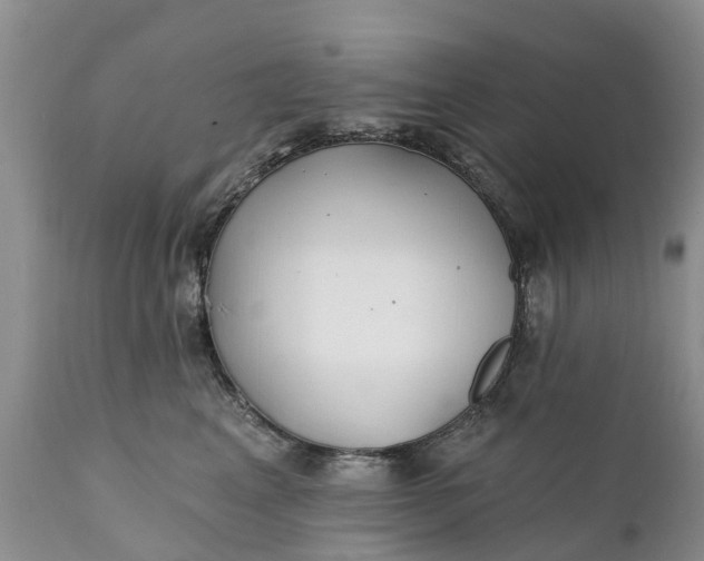 X0000111380617200907241311