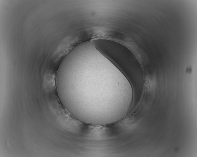 X0000111380621200907241311