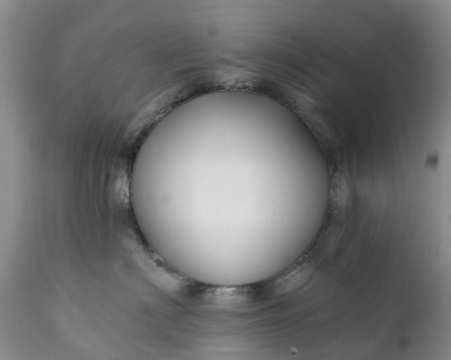 X0000111380622200907241311