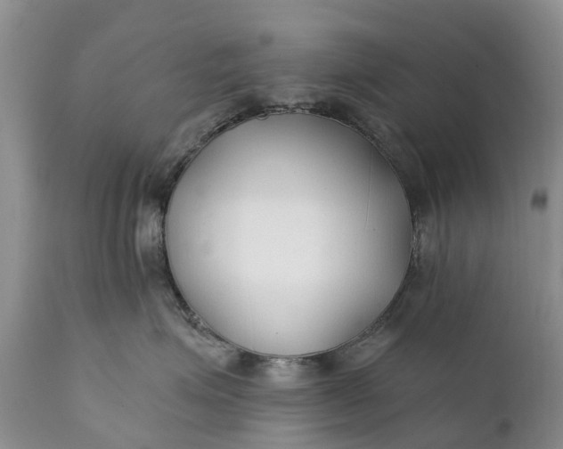 X0000111380623200907241311