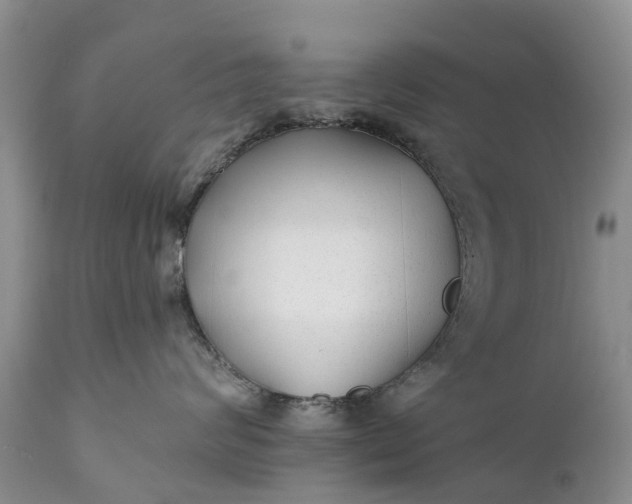 X0000111380624200907241311