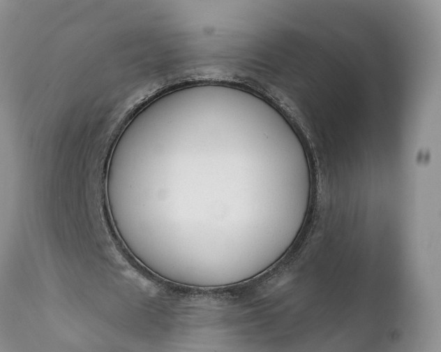 X0000111380625200907241310