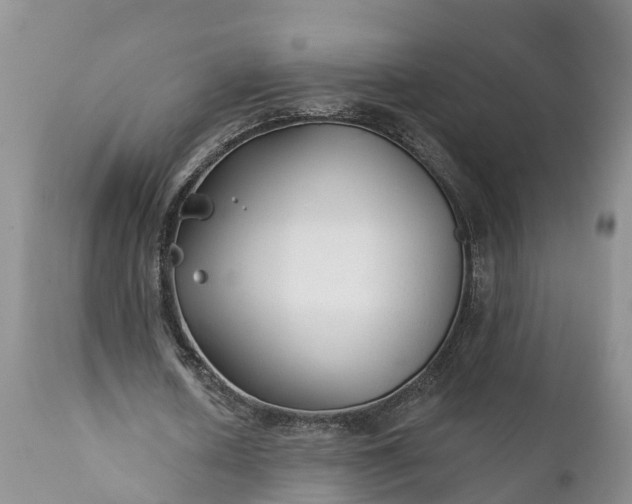 X0000111380626200907241310