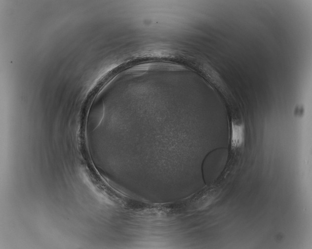 X0000111380627200907241310