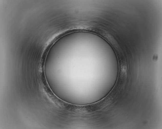 X0000111380628200907241310