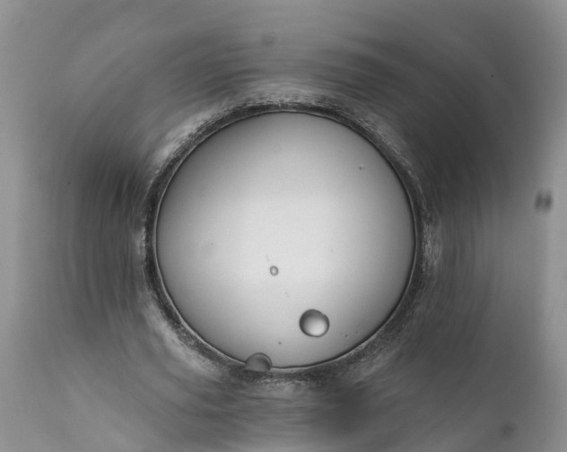 X0000111380629200907241310