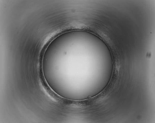 X0000111380630200907241310